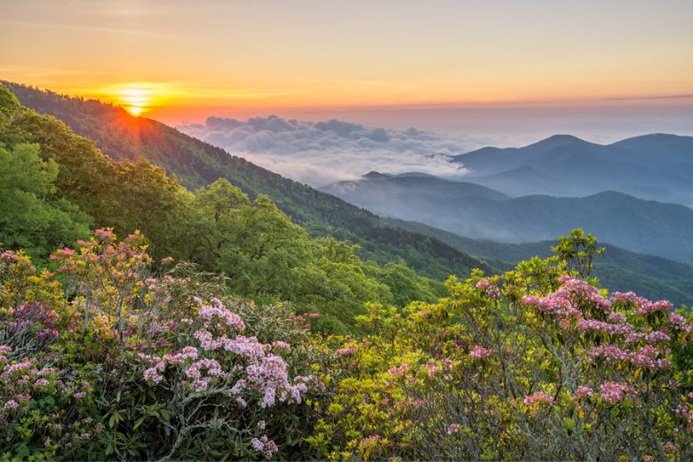 9 Reasons Why the Smoky Mountains Are the Top Destination for Nature Lovers